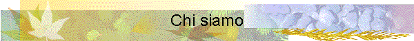 Chi siamo