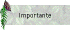 Importante