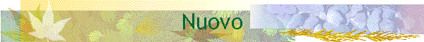 Nuovo