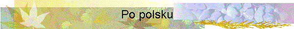 Po polsku