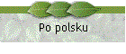 Po polsku