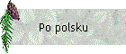 Po polsku