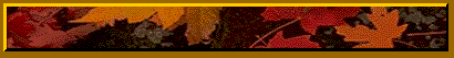 jesien.gif (6567 byte)